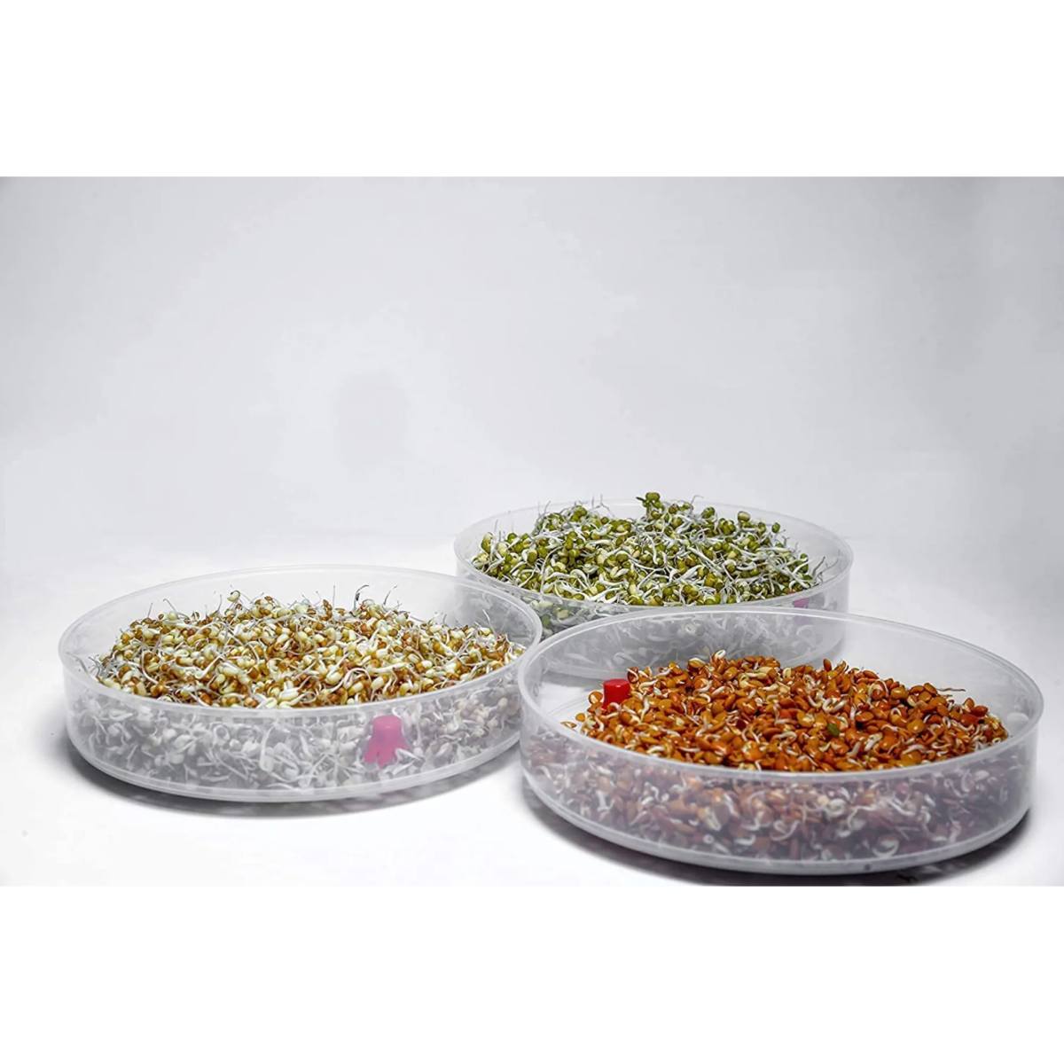 07_72e5ab07-09fa-4e66-9cf4-b155e9f64190_700x70011