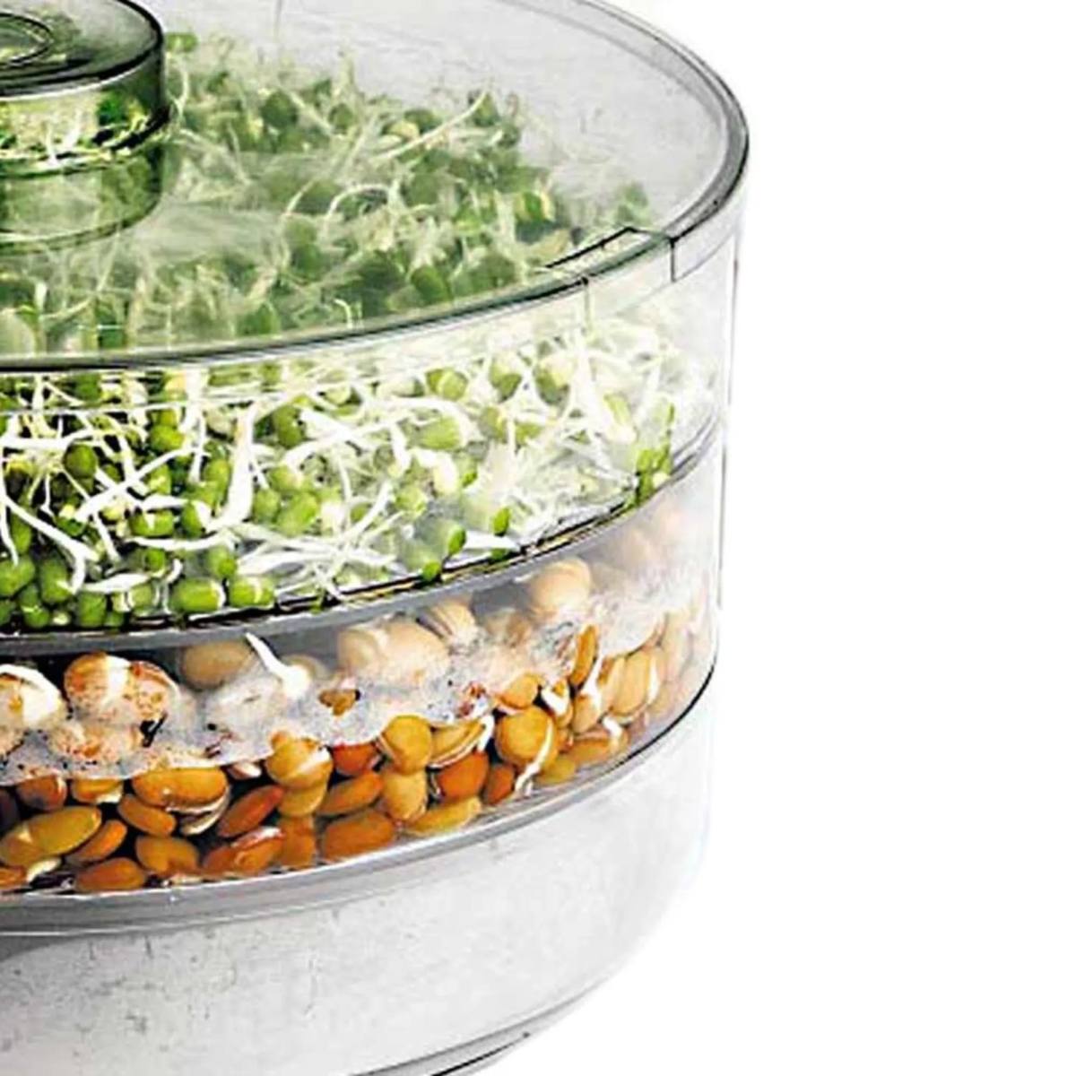 07_72e5ab07-09fa-4e66-9cf4-b155e9f64190_700x70011