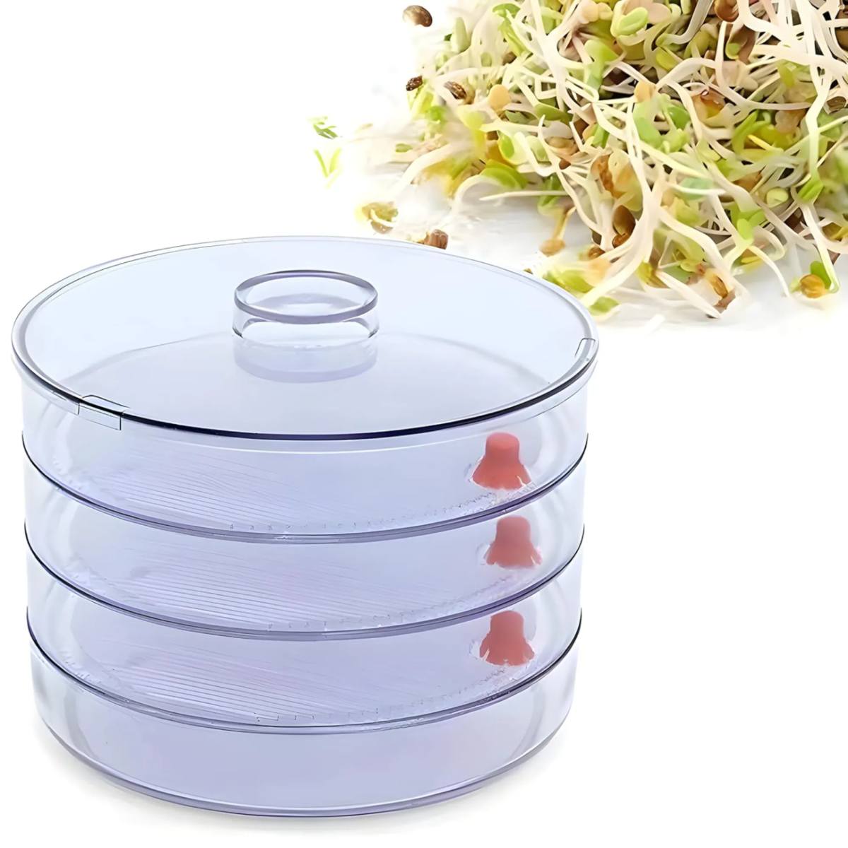 07_72e5ab07-09fa-4e66-9cf4-b155e9f64190_700x70011